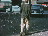 Thumbnail 23