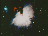Thumbnail 16