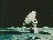 Thumbnail 25