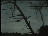 Thumbnail 18