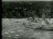 Thumbnail 24