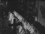 Thumbnail 17
