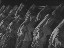 Thumbnail 22