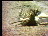Thumbnail 22