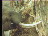 Thumbnail 22