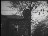 Thumbnail 48