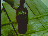 Thumbnail 20
