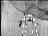 Thumbnail 26