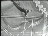 Thumbnail 27