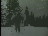 Thumbnail 19