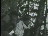 Thumbnail 22