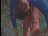 Thumbnail 22