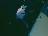 Thumbnail 18
