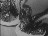Thumbnail 27