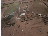 Thumbnail 25