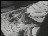 Thumbnail 37