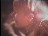 Thumbnail 27