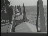 Thumbnail 21