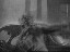 Thumbnail 32