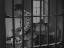 Thumbnail 49