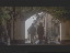 Thumbnail 95