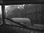 Thumbnail 29