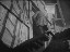 Thumbnail 41