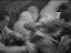 Thumbnail 109