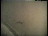 Thumbnail 19
