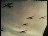 Thumbnail 23