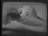 Thumbnail 27