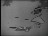 Thumbnail 39