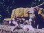 Thumbnail 39
