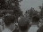 Thumbnail 28