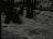 Thumbnail 28
