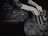 Thumbnail 16