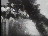 Thumbnail 46