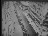 Thumbnail 20