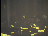Thumbnail 25