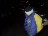 Thumbnail 27
