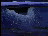 Thumbnail 23