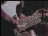 Thumbnail 28
