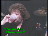 Thumbnail 21