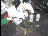 Thumbnail 46