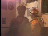 Thumbnail 24