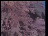 Thumbnail 24