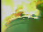 Thumbnail 34