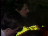 Thumbnail 24