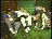Thumbnail 22