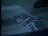 Thumbnail 26